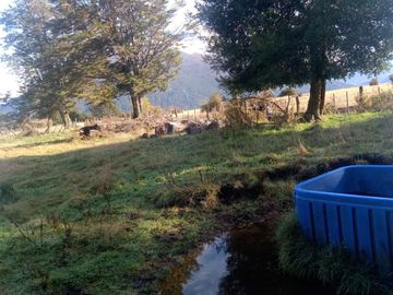 VENDO 16 HECTAREAS, DISTANTE A 10 MINUTOS DE BAHÍA MURTA,  COMUNA DE IBÁÑEZ, REGIÓN DE AYSEN