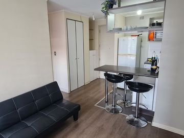 Acogedor departamento en Concepción