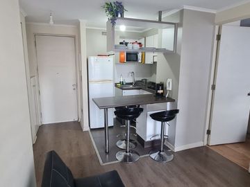 Acogedor departamento en Concepción