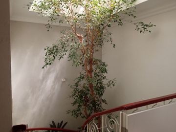 Casa en Venta en Av. Universidad