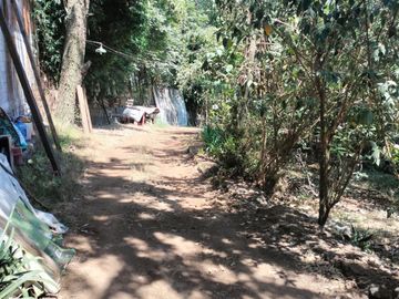 VENTA TERRENO EN HUITZILAC, MONTECASINO, MORELOS