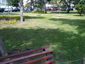 CASA EN MIRAFLORES, CALLE TACNA, ESPECTACULAR ZONA  DE PARQUES PARA PROYECTO IINMOBILIARIO