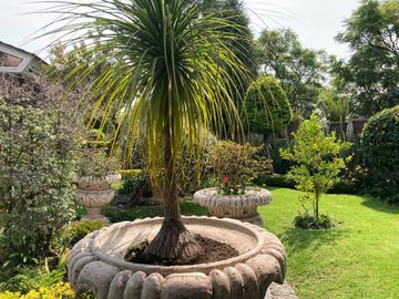 Casa en Venta en Bosques de las Lomas