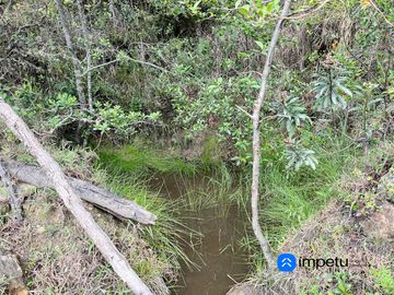 Terreno en venta en Malacatos de 14 hectáreas