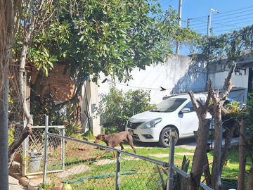 COL. SAN RAFAEL. EN ESQUINA. HERMOSA CASA