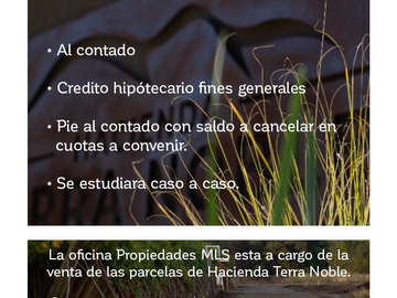 Loteo Hacienda Terra Noble - San Felipe - Santa Maria - San Esteban - Los Andes