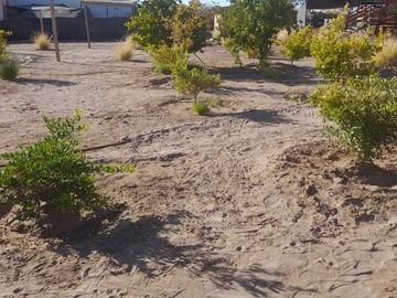 Venta de parcela con casa en Altos de Miraflores – Pica, Región de Tarapacá
