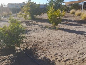 Venta de parcela con casa en Altos de Miraflores – Pica, Región de Tarapacá
