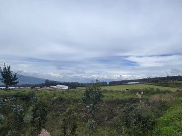 FINCA PARA FLORICOLA EN TABACUNDO