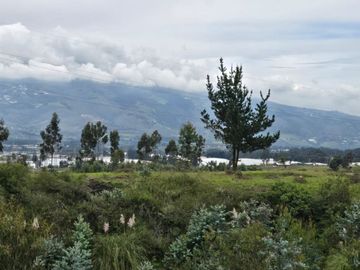 FINCA PARA FLORICOLA EN TABACUNDO