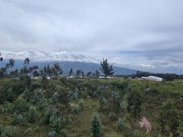FINCA PARA FLORICOLA EN TABACUNDO