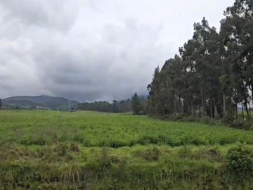 FINCA PARA FLORICOLA EN TABACUNDO