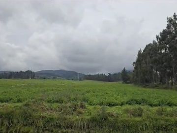 FINCA PARA FLORICOLA EN TABACUNDO
