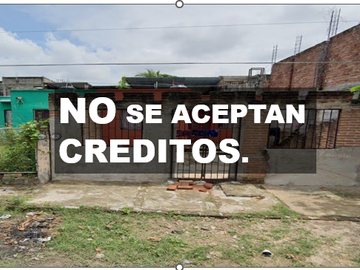 MC - PROMOCION - Eucalipto, Plazuelas de San Francisco, Tonalá, Chiapas, MÉXICO