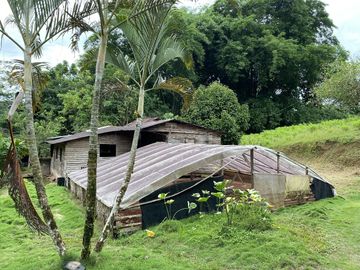 VENDO TERRENO DE 94.6 HAS NUEVO PROGRESO – ISCOZACIN – OXAPAMPA – CERRO DE PASCO