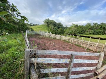 VENDO TERRENO DE 94.6 HAS NUEVO PROGRESO – ISCOZACIN – OXAPAMPA – CERRO DE PASCO