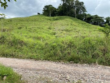 VENDO TERRENO DE 94.6 HAS NUEVO PROGRESO – ISCOZACIN – OXAPAMPA – CERRO DE PASCO
