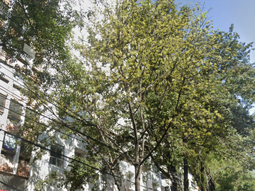 Av. Insurgentes Sur