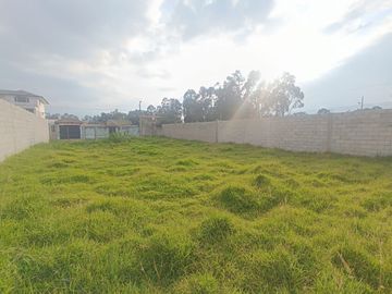 Terreno en Renta - San Pedro de Taboada
