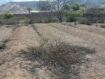 A PRECIO DE OPORTUNIDAD, VENDO EN EL EXCLUSIVO CONDOMINIO PACHACAMAC, A 30´ DE LIMA, UN LOTE DE TERRENO DE