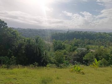 Overlooking Mountain Guest House/ Resort for Sale with Spacious Lot