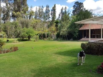 Propiedad en venta. Challuabamba Pan. Norte. amplia área verde. Fácil acceso