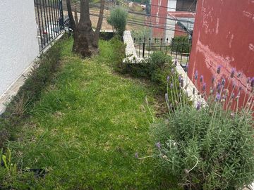 Vendo casa  de 4 recámaras construida en un solo piso en Arboledas a unos metros de Jinetes