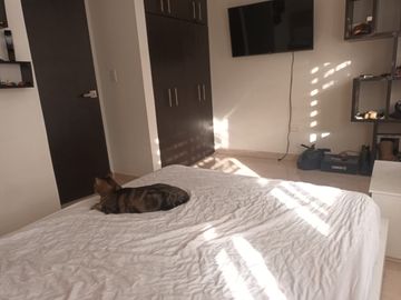 🏡 Venta de Casa de 3 Pisos + Apartaestudio Independiente  – Dosquebradas