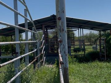 RANCHO EN VENTA EN GRAL TERAN, NUEVO LEON, A 26 KMS DEL CENTRO DEL MUNICIPIO, TIERRAS MUY FERTILES, ABUNDANTE AGUA, FLORA Y FAUNA, 243 HAS A P CERRADA