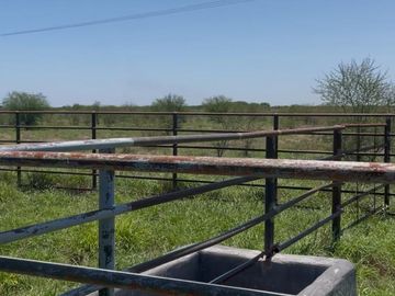 RANCHO EN VENTA EN GRAL TERAN, NUEVO LEON, A 26 KMS DEL CENTRO DEL MUNICIPIO, TIERRAS MUY FERTILES, ABUNDANTE AGUA, FLORA Y FAUNA, 243 HAS A P CERRADA