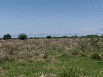 RANCHO EN VENTA EN GRAL TERAN, NUEVO LEON, A 26 KMS DEL CENTRO DEL MUNICIPIO, TIERRAS MUY FERTILES, ABUNDANTE AGUA, FLORA Y FAUNA, 243 HAS A P CERRADA