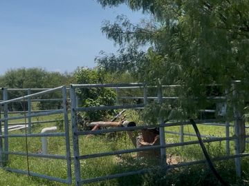 RANCHO EN VENTA EN GRAL TERAN, NUEVO LEON, A 26 KMS DEL CENTRO DEL MUNICIPIO, TIERRAS MUY FERTILES, ABUNDANTE AGUA, FLORA Y FAUNA, 243 HAS A P CERRADA