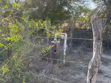 RANCHO EN VENTA EN GRAL TERAN, NUEVO LEON, A 24 KMS DEL CENTRO DEL MPO, TIERRAS MUY FERTILES, ABUNDANTE AGUA, FLORA Y FAUNA, 594 HAS, COLINDA CON RIO