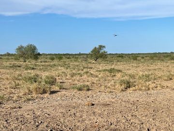 RANCHO EN VENTA EN GRAL TERAN, NUEVO LEON, A 24 KMS DEL CENTRO DEL MPO, TIERRAS MUY FERTILES, ABUNDANTE AGUA, FLORA Y FAUNA, 594 HAS, COLINDA CON RIO