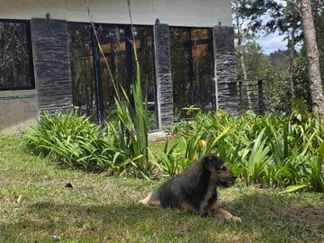 Venta Casa   Campestre de Lujo en el Bosque,  Para Estrenar, Excelente Ubicación, doble proposito:residencial y/o comercial.
