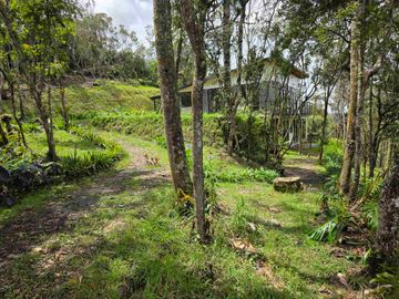 Venta Casa   Campestre de Lujo en el Bosque,  Para Estrenar, Excelente Ubicación, doble proposito:residencial y/o comercial.