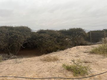 LINDA PARCELA VALLE FÉRTIL COPIAPÓ