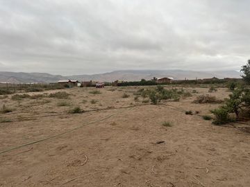 LINDA PARCELA VALLE FÉRTIL COPIAPÓ