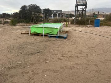 LINDA PARCELA VALLE FÉRTIL COPIAPÓ