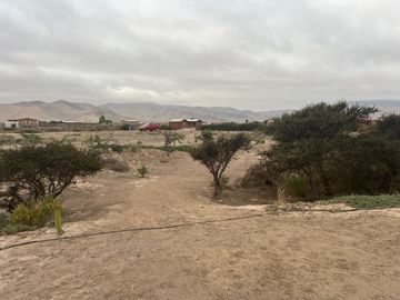 LINDA PARCELA VALLE FÉRTIL COPIAPÓ