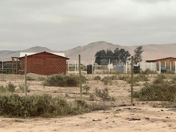 LINDA PARCELA VALLE FÉRTIL COPIAPÓ