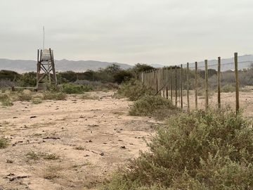 LINDA PARCELA VALLE FÉRTIL COPIAPÓ