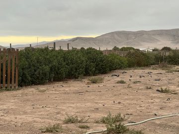 LINDA PARCELA VALLE FÉRTIL COPIAPÓ
