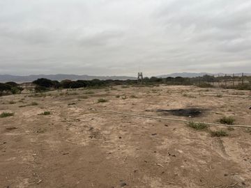 LINDA PARCELA VALLE FÉRTIL COPIAPÓ