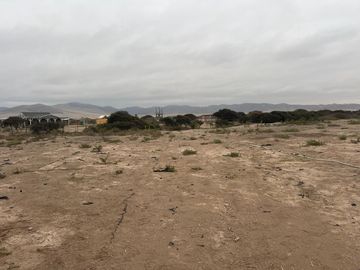 LINDA PARCELA VALLE FÉRTIL COPIAPÓ