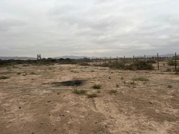 LINDA PARCELA VALLE FÉRTIL COPIAPÓ