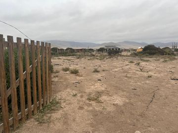 LINDA PARCELA VALLE FÉRTIL COPIAPÓ