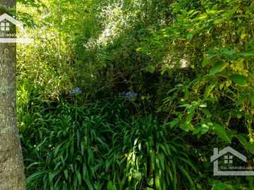 Venta de Cabaña Nueva en Mineral del Chico – Entorno Natural y Privilegiada Ubicación