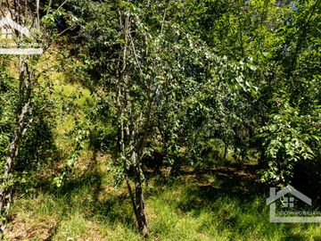 Venta de Cabaña Nueva en Mineral del Chico – Entorno Natural y Privilegiada Ubicación