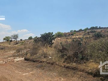 Venta de Terreno con Potencial de Desarrollo – Santiago Tlapacoya, Hidalgo
